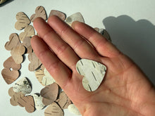 Birch Bark Hearts (50)