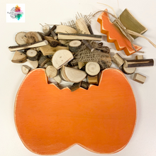 Big Pumpkin with 40 natural loose parts