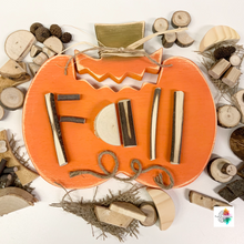 Big Pumpkin with 40 natural loose parts